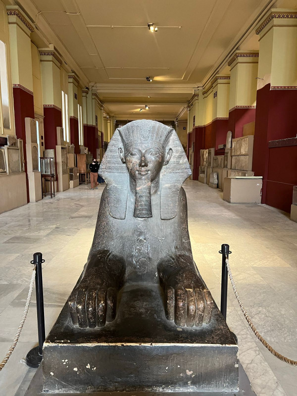 Giza Pyramids & The Egyptian Museum in Tahrir